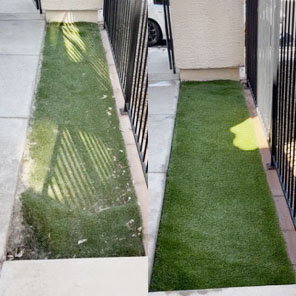 photo before after turf cleaning
